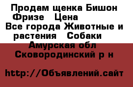 Продам щенка Бишон Фризе › Цена ­ 30 000 - Все города Животные и растения » Собаки   . Амурская обл.,Сковородинский р-н